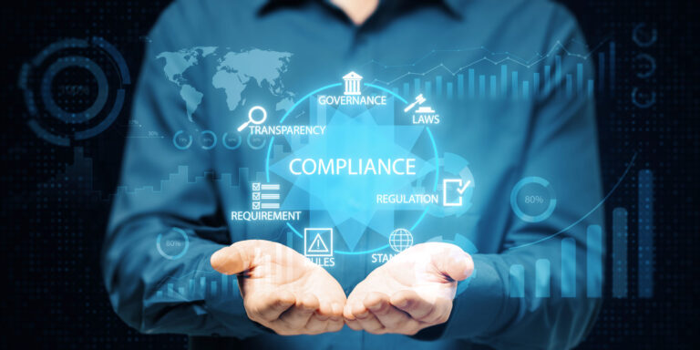 Financial Transparency for Startups and Small Businesses in the UAE